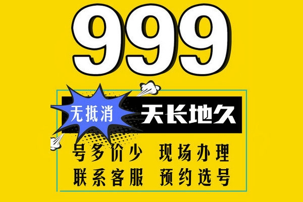 鄆城178，159開頭尾號999是手機靚號出售